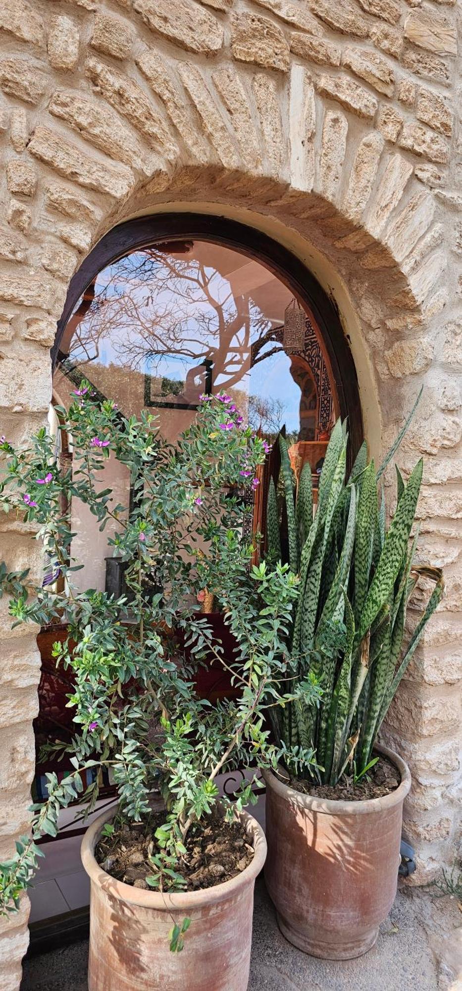 Bab Bhaibah Zaouia Akermoud Exterior foto