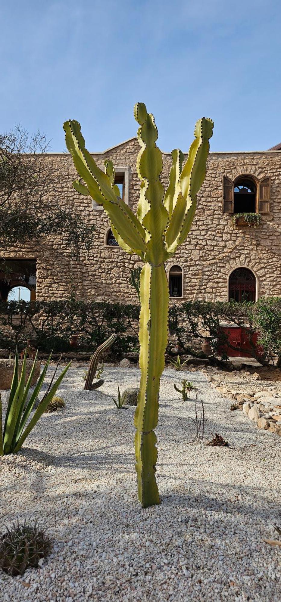 Bab Bhaibah Zaouia Akermoud Exterior foto
