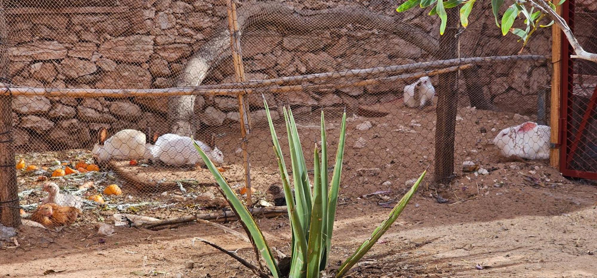Bab Bhaibah Zaouia Akermoud Exterior foto
