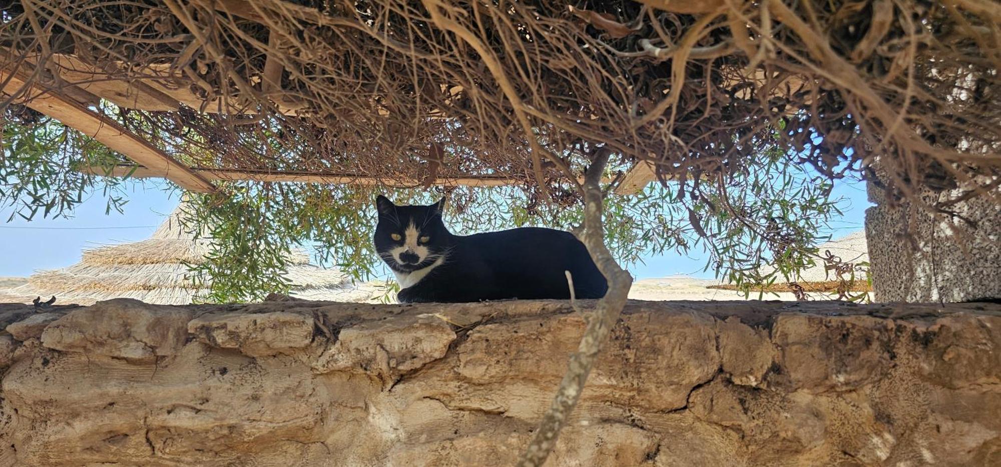 Bab Bhaibah Zaouia Akermoud Exterior foto